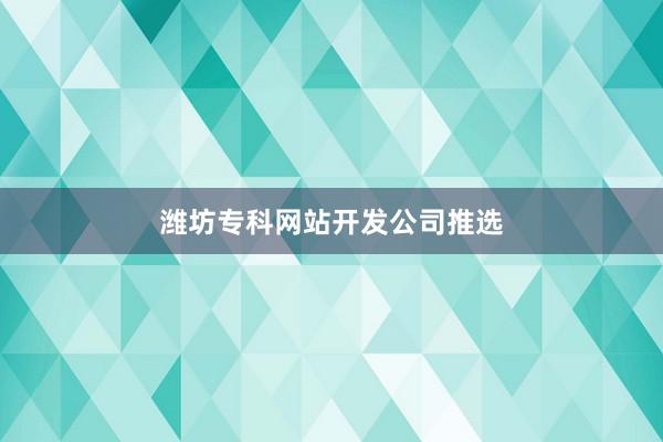 潍坊专科网站开发公司推选